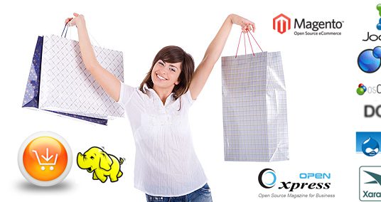 ECOMMERCE SERVICES